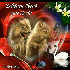 fluffyfoxie için avatar