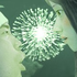Rishu_jpn için avatar