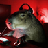 Avatar for vseway