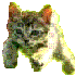 Avatar for DuctTapeNinja