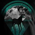 Avatar for nightelks