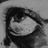 Avatar for phobophiliac