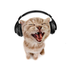 Avatar for sortabad