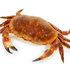 Avatar for CCRABS
