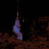 Avatar for Ya1760