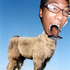 Avatar for briether