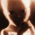 Avatar for Danipunkg