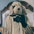 SillyDogg için avatar