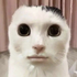 Avatar for MEKE12412412