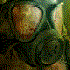 Avatar for djxangel