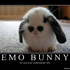 Avatar für AntoninBun