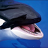 Avatar for ssusin