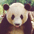Avatar for yeoop