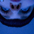 Avatar for zadyma