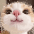 Avatar for ewtf
