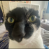 Avatar for iamavaig