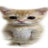 Avatar for gab1bzzz