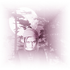 Avatar for shringarahasya