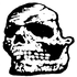 Avatar für Vithon