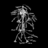 Avatar for dr_zoid