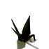 Avatar for luste666