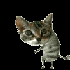 Avatar for dde_