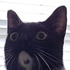 Avatar for UlvVingr