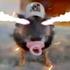 Avatar for DORDBY