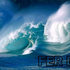 Avatar for fer221