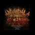 Awatar dla Amygdala Hijack