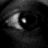 Avatar de Legopop