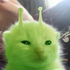 Avatar for Araxzzzzz