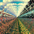 Avatar for capitao-romance