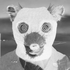 Avatar for S0mn0ph0bia