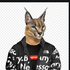 Avatar for PACreeper