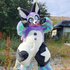 Avatar for ivycomb