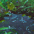 Avatar for hyuckryptic