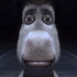 Avatar for ajdenz