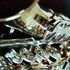 Avatar for blueanna