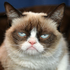 Avatar for Since1992-