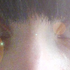Avatar di billandme