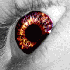 Avatar for Mitchorr72