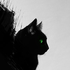 Avatar di XKiss_of_DeathX