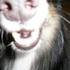 Avatar for Pjee-