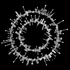 Avatar for b1o1994