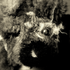Avatar for kasiarewicz