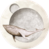 Avatar for veldorian