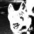 Jesus_Jacobo さんのアバター