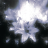 Avatar for maegosago