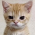 Avatar for Id3kanymore
